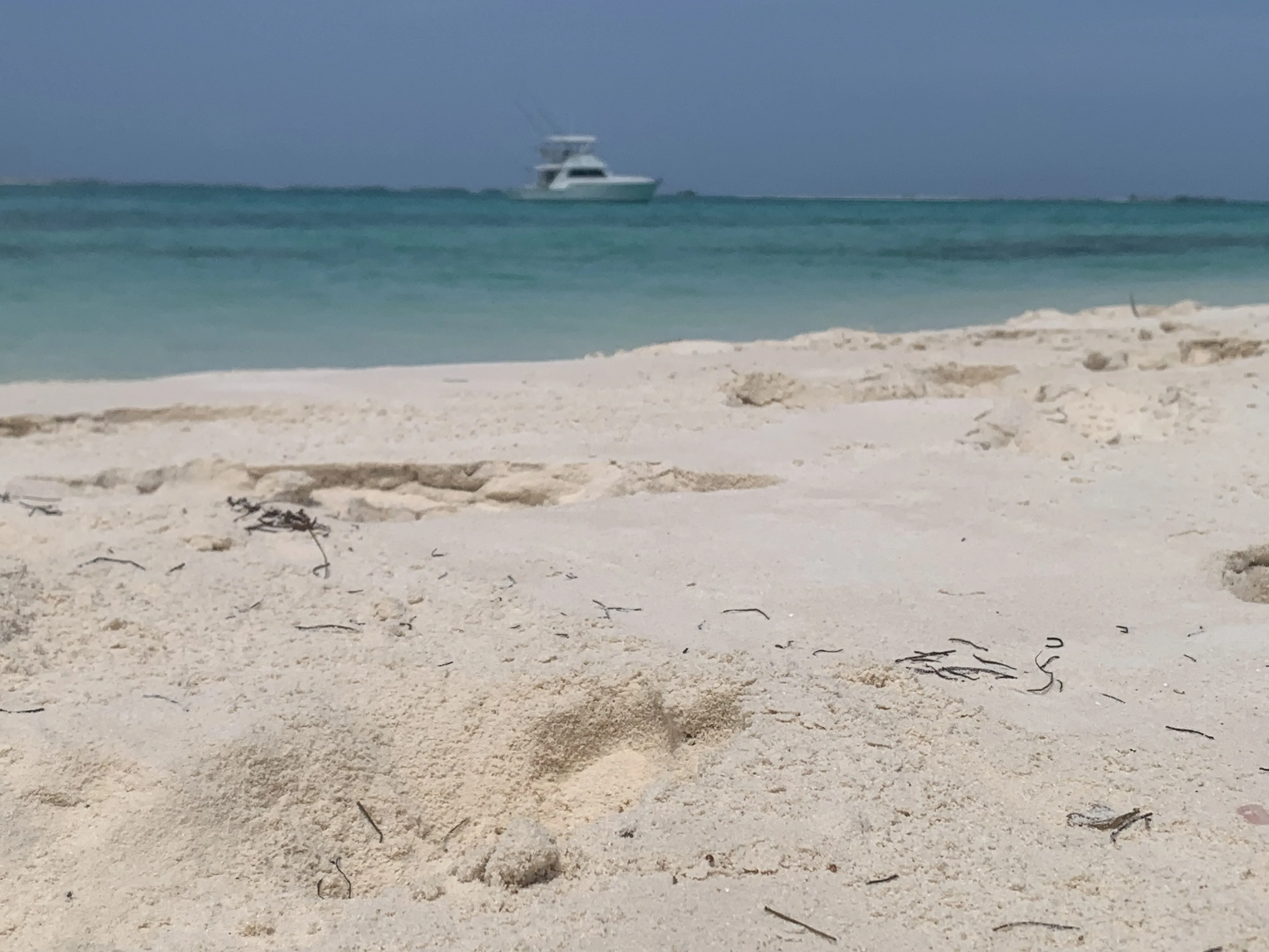 Los Roques Beach